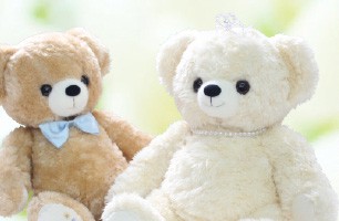                                             ウェディングキャンペーン
                                     のカテゴリ画像